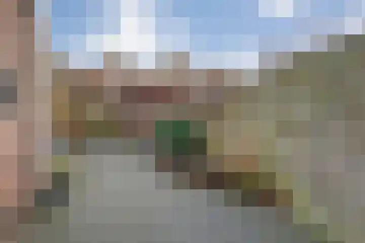 Koezenkamp 14 Dalfsen thumbnail 31
