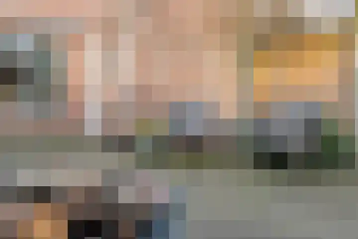 Koezenkamp 14 Dalfsen thumbnail 33
