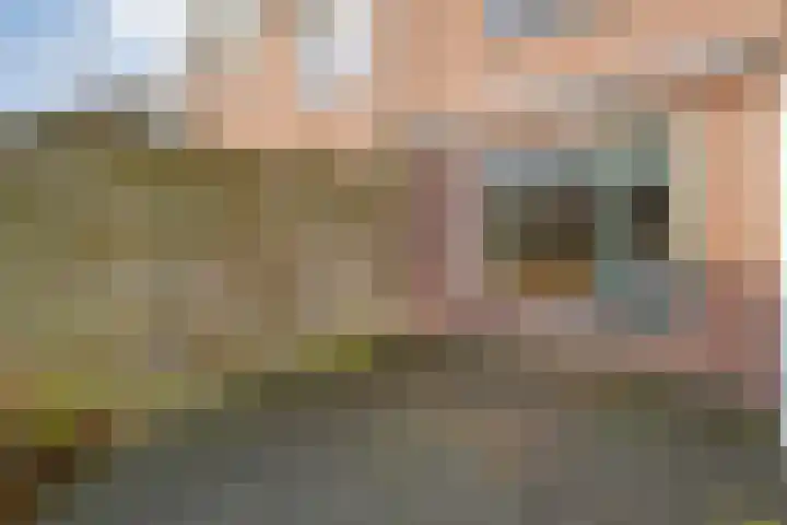 Koezenkamp 14 Dalfsen thumbnail 34