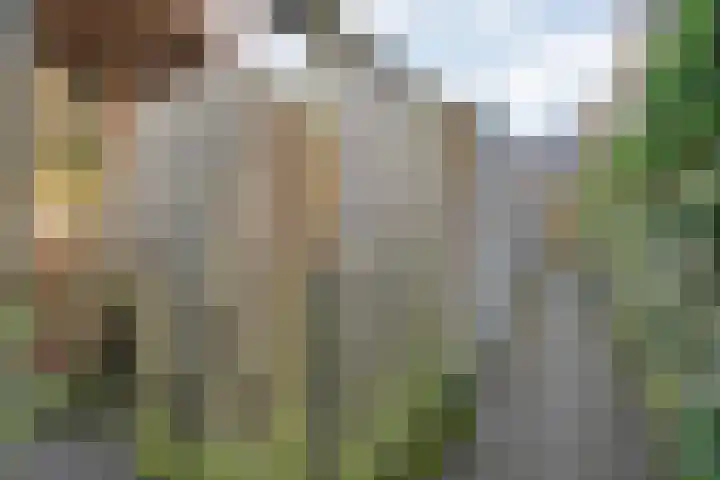 Koezenkamp 14 Dalfsen thumbnail 36