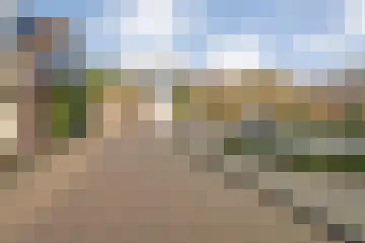 Koezenkamp 14 Dalfsen thumbnail 37