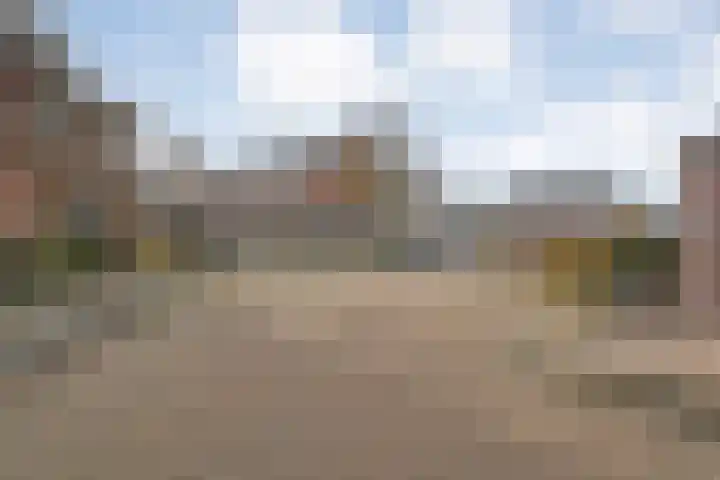 Koezenkamp 14 Dalfsen thumbnail 38