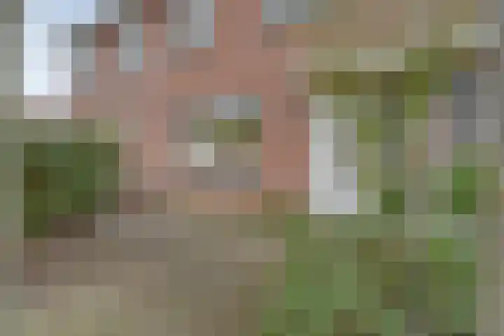 Koezenkamp 14 Dalfsen thumbnail 39