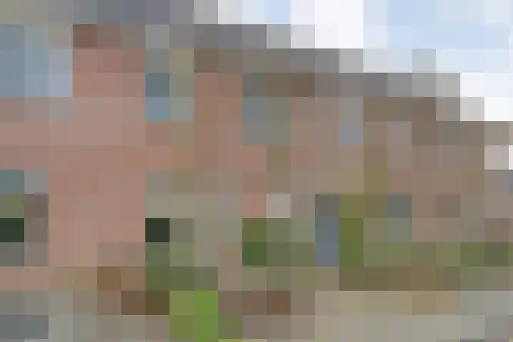 Koezenkamp 14 Dalfsen thumbnail 4