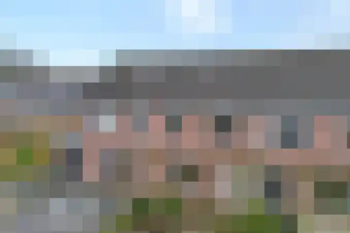 Koezenkamp 14 Dalfsen thumbnail 41