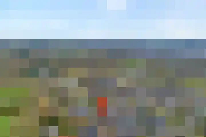 Koezenkamp 14 Dalfsen thumbnail 42