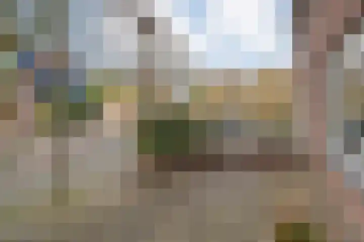 Koezenkamp 14 Dalfsen thumbnail 5