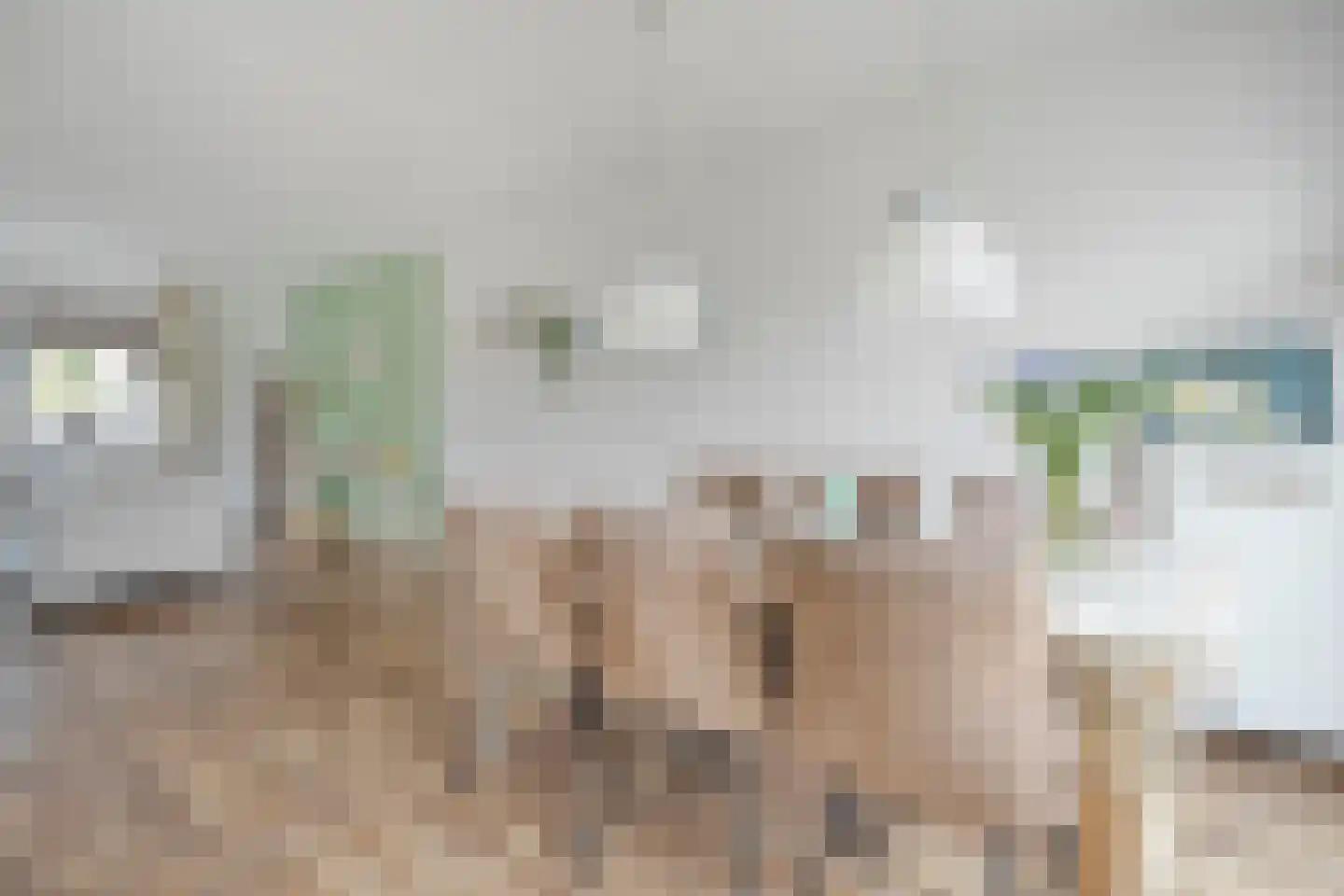 Koezenkamp 3 Dalfsen thumbnail 10