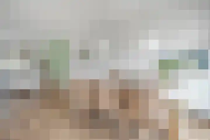 Koezenkamp 3 Dalfsen thumbnail 10