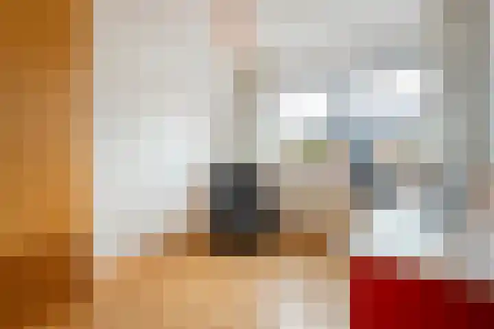Koezenkamp 3 Dalfsen thumbnail 23