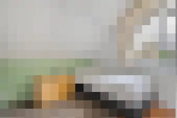 Koezenkamp 3 Dalfsen thumbnail 27
