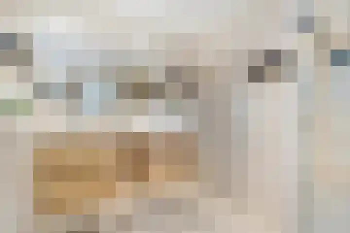 Koezenkamp 3 Dalfsen thumbnail 29