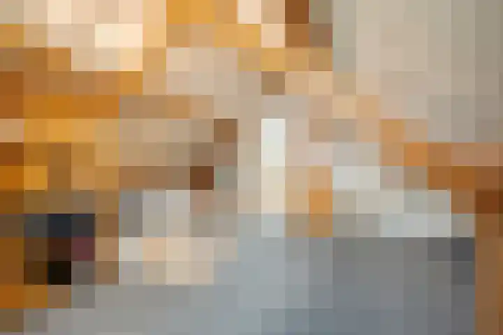 Koezenkamp 3 Dalfsen thumbnail 33
