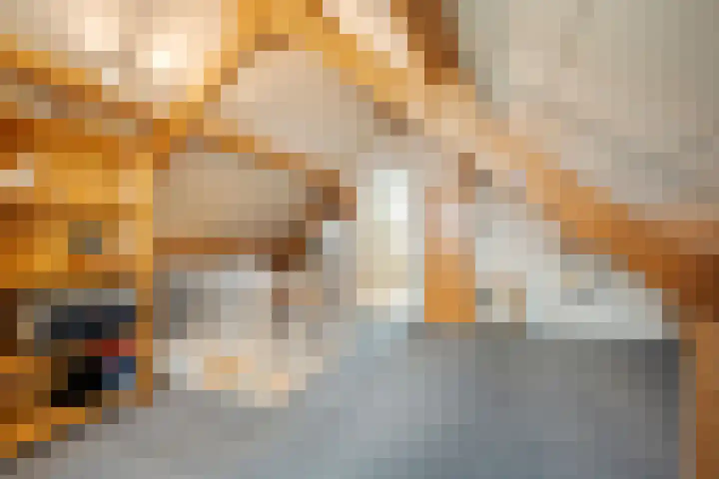 Koezenkamp 3 Dalfsen thumbnail 33