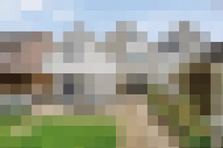 Koezenkamp 3 Dalfsen thumbnail 36