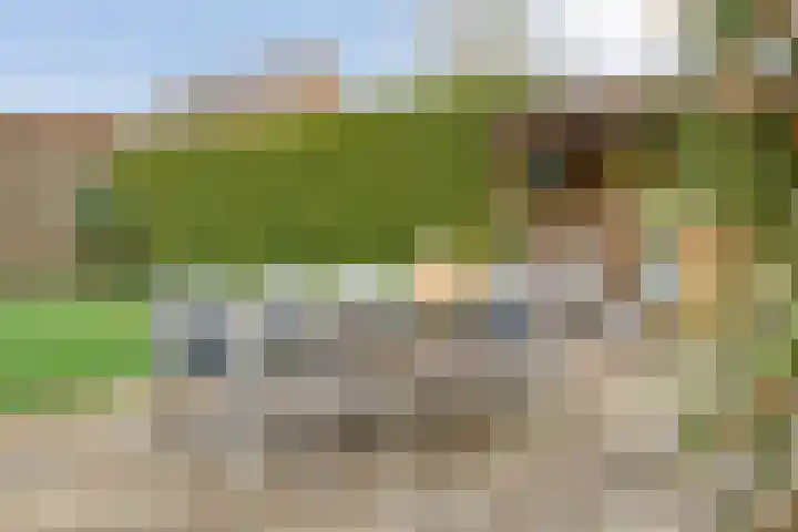 Koezenkamp 3 Dalfsen thumbnail 37