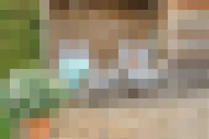Koezenkamp 3 Dalfsen thumbnail 38