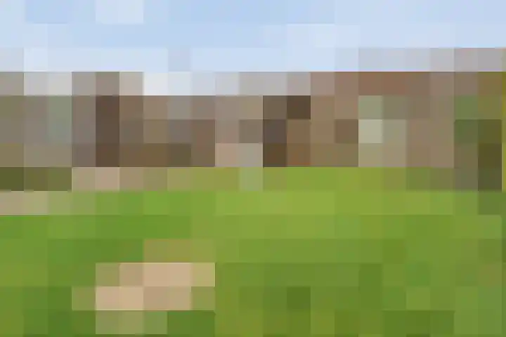 Koezenkamp 3 Dalfsen thumbnail 40