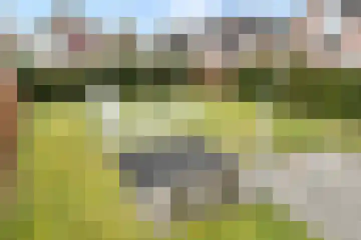 Koezenkamp 3 Dalfsen thumbnail 42