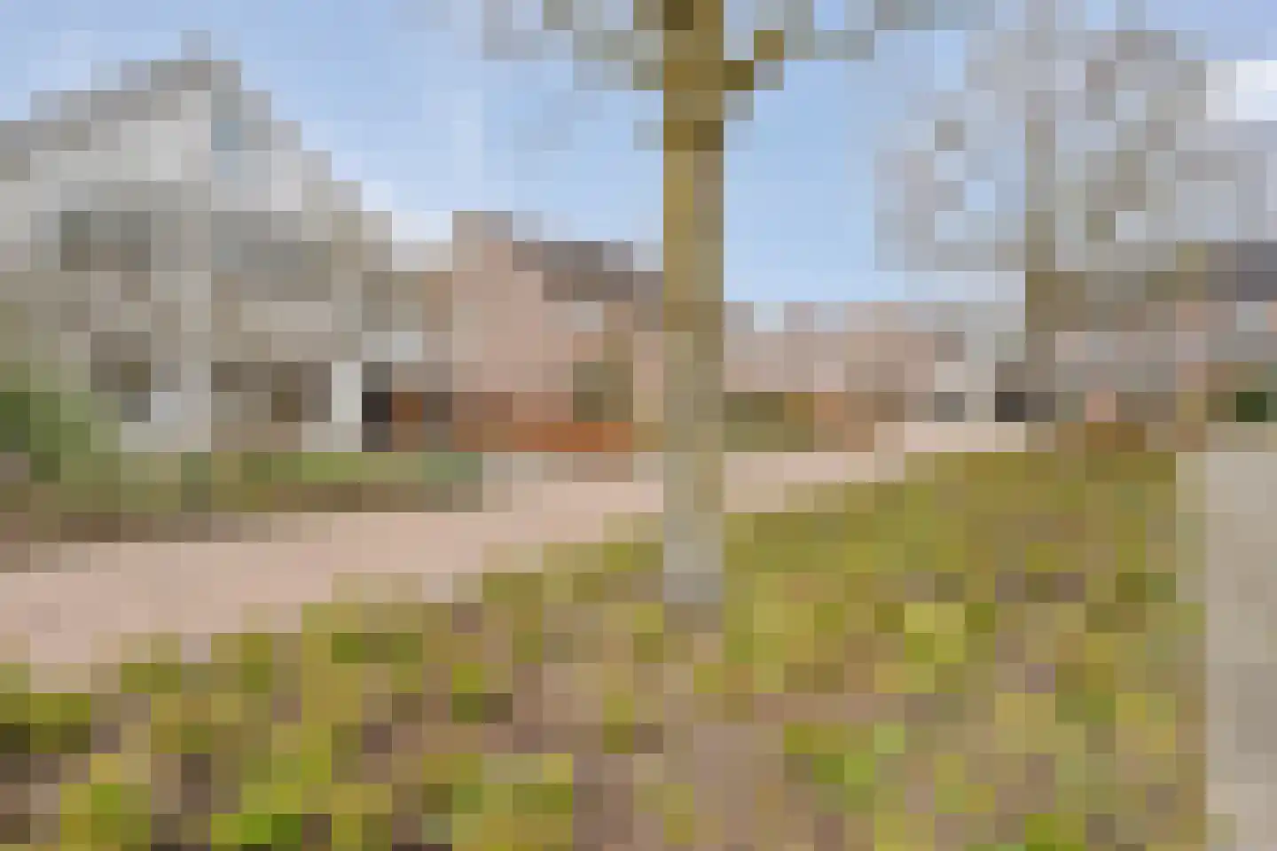Koezenkamp 3 Dalfsen thumbnail 46