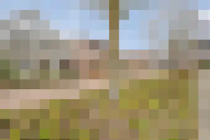 Koezenkamp 3 Dalfsen thumbnail 46