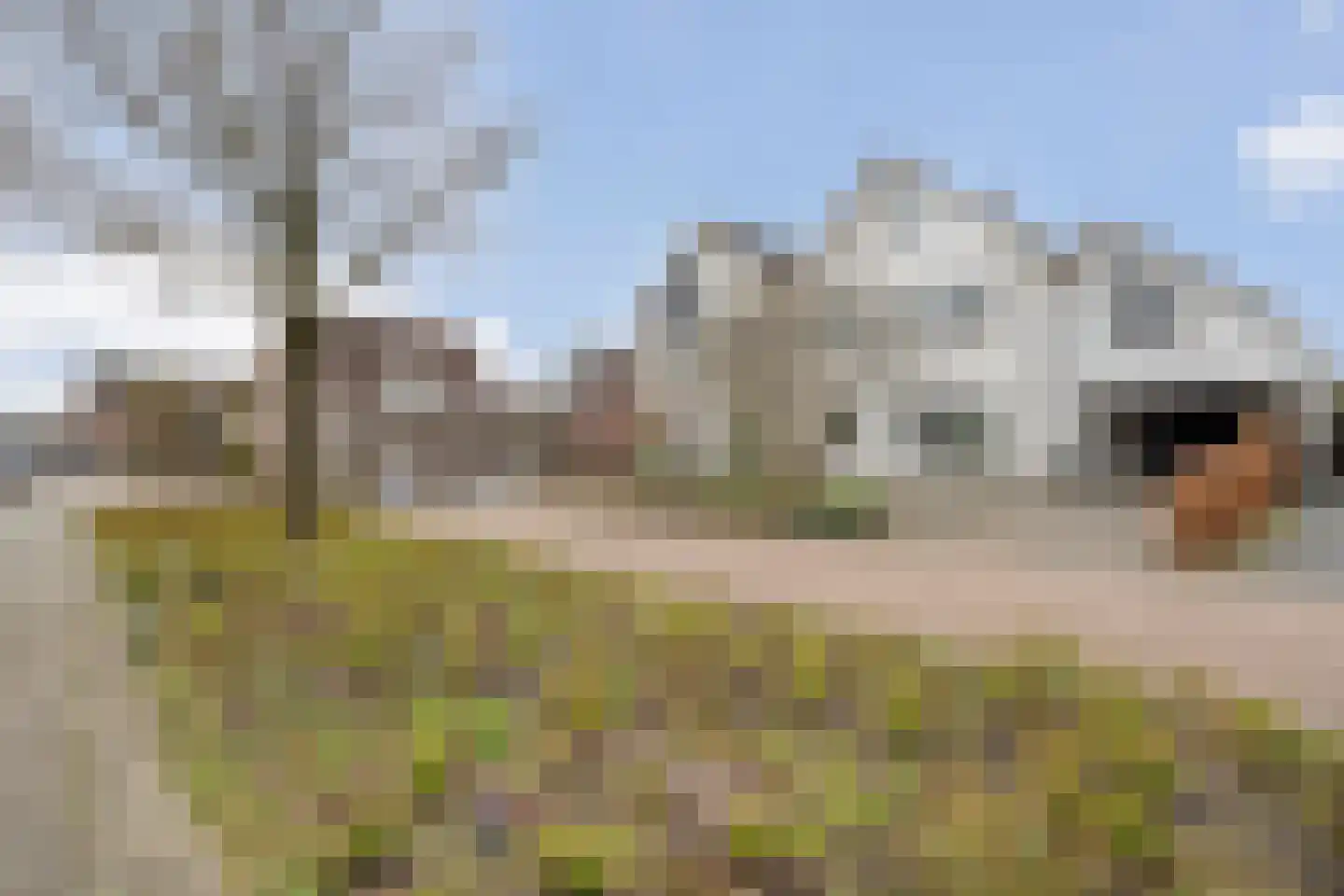 Koezenkamp 3 Dalfsen thumbnail 47