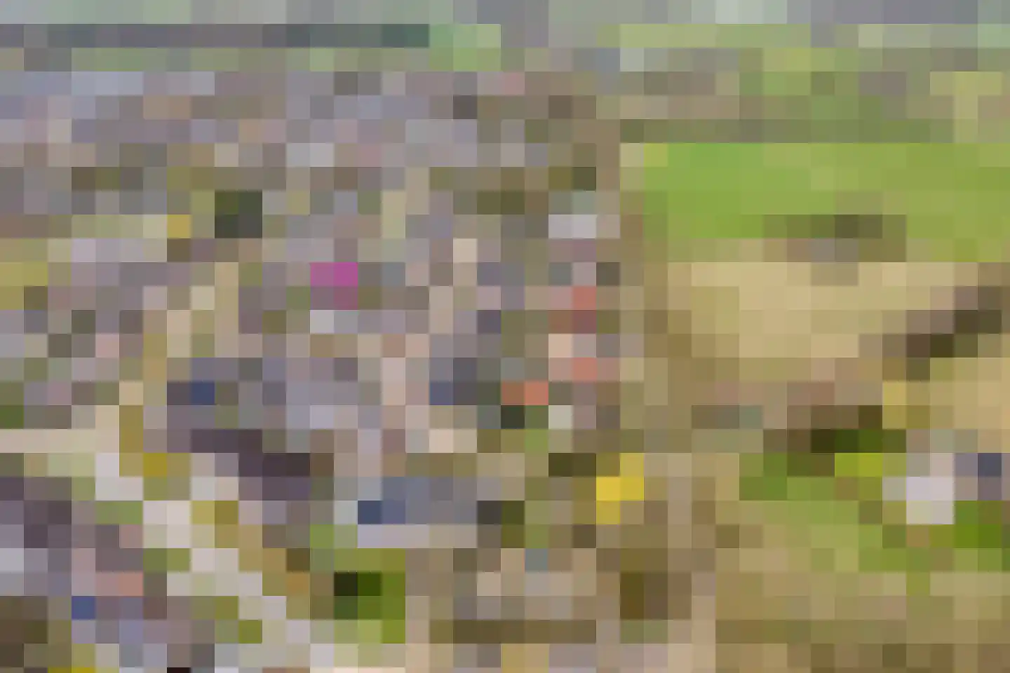 Koezenkamp 3 Dalfsen thumbnail 48