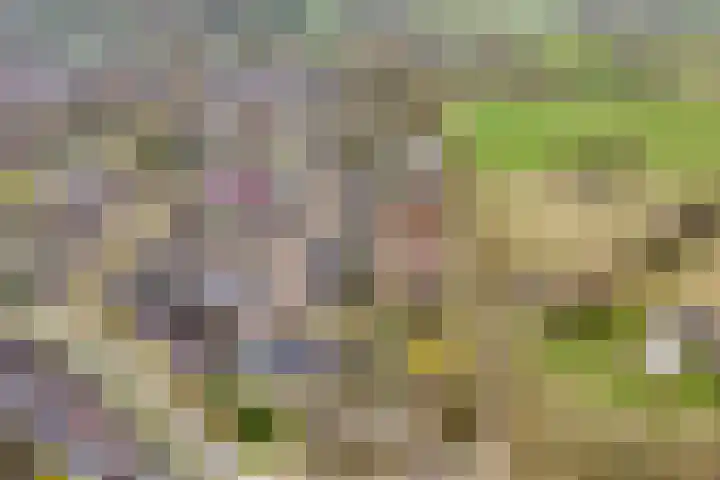Koezenkamp 3 Dalfsen thumbnail 48