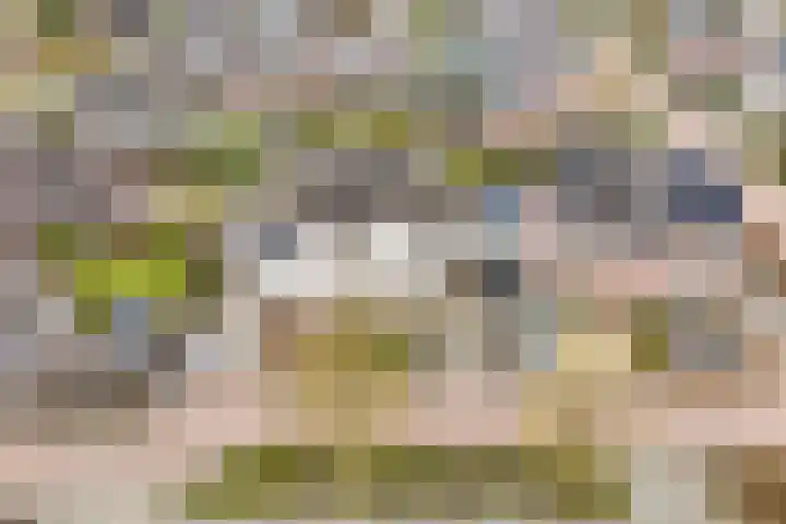 Koezenkamp 3 Dalfsen thumbnail 49