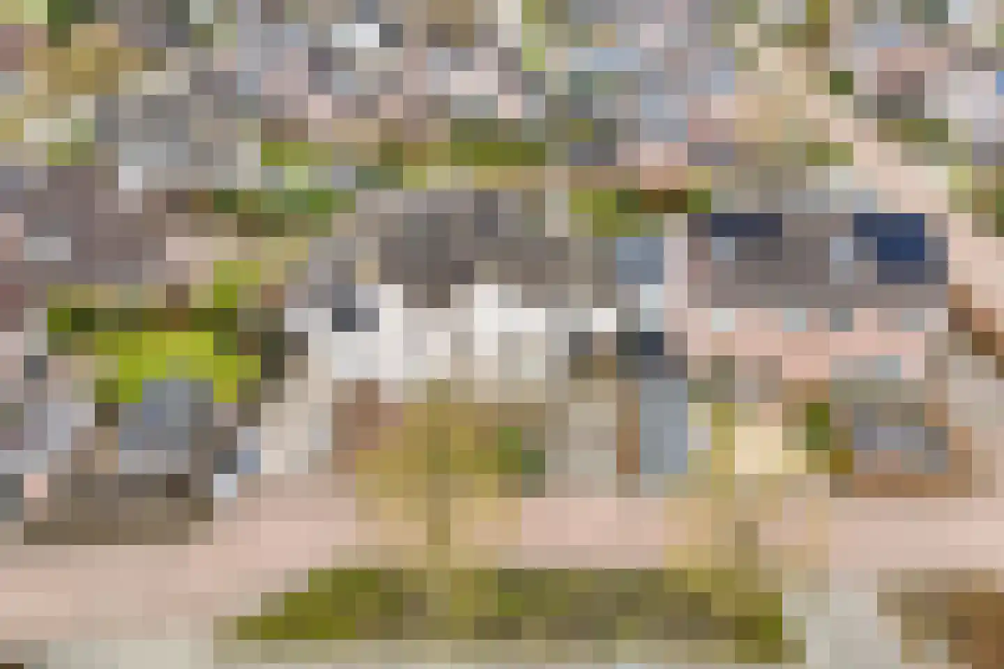 Koezenkamp 3 Dalfsen thumbnail 49