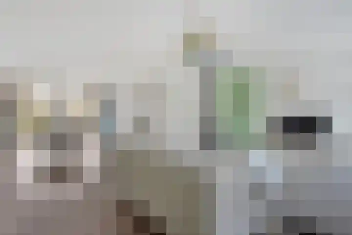 Koezenkamp 3 Dalfsen thumbnail 7