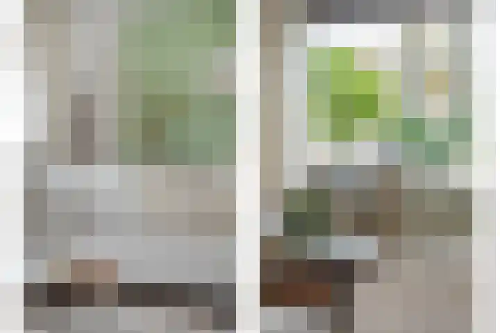 Koezenkamp 3 Dalfsen thumbnail 8
