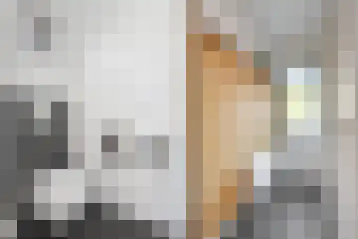 Koezenkamp 32 Dalfsen thumbnail 10