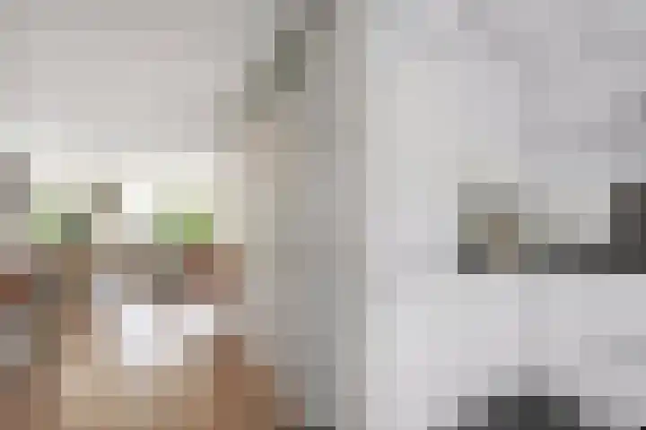 Koezenkamp 32 Dalfsen thumbnail 12