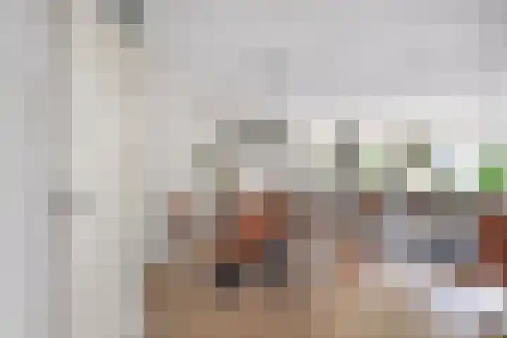 Koezenkamp 32 Dalfsen thumbnail 13