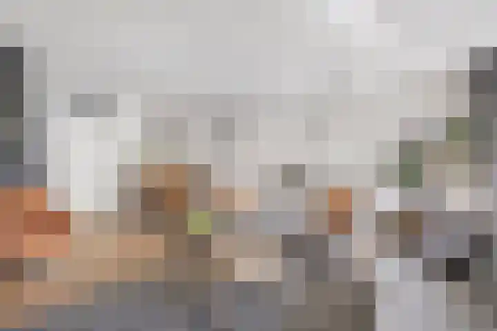 Koezenkamp 32 Dalfsen thumbnail 16