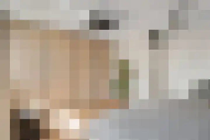 Koezenkamp 32 Dalfsen thumbnail 21