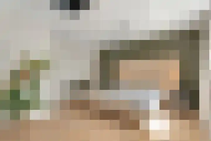 Koezenkamp 32 Dalfsen thumbnail 22