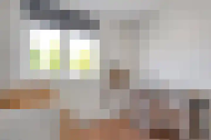 Koezenkamp 32 Dalfsen thumbnail 23