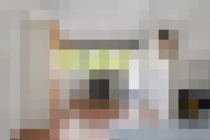 Koezenkamp 32 Dalfsen thumbnail 26