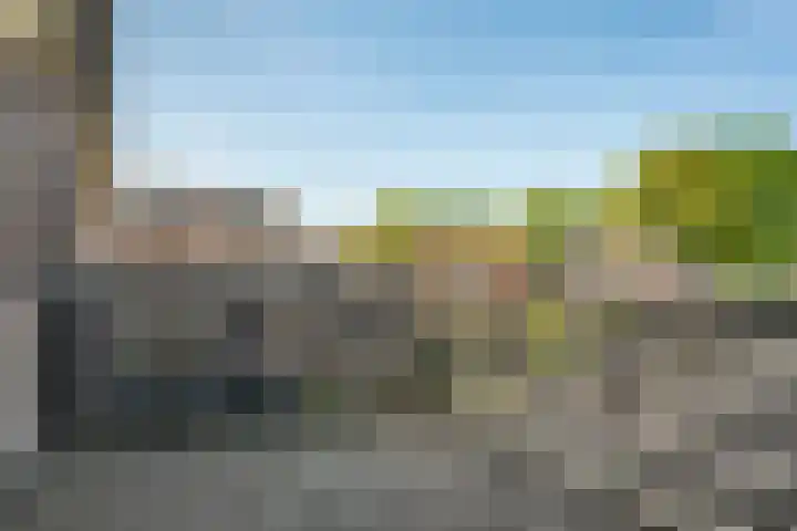 Koezenkamp 32 Dalfsen thumbnail 28