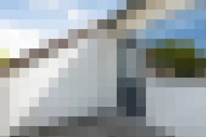 Koezenkamp 32 Dalfsen thumbnail 29