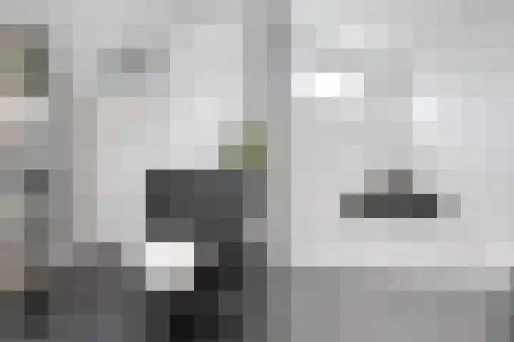Koezenkamp 32 Dalfsen thumbnail 35