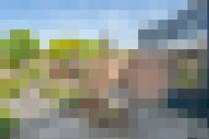 Koezenkamp 32 Dalfsen thumbnail 36
