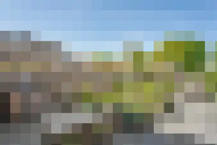 Koezenkamp 32 Dalfsen thumbnail 37