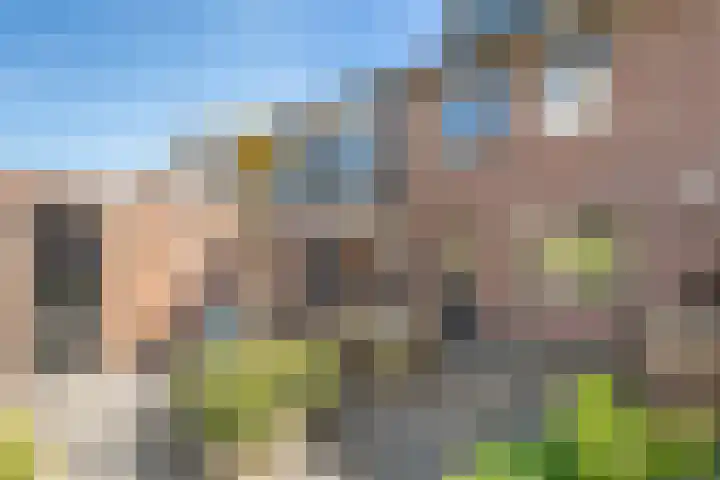 Koezenkamp 32 Dalfsen thumbnail 38