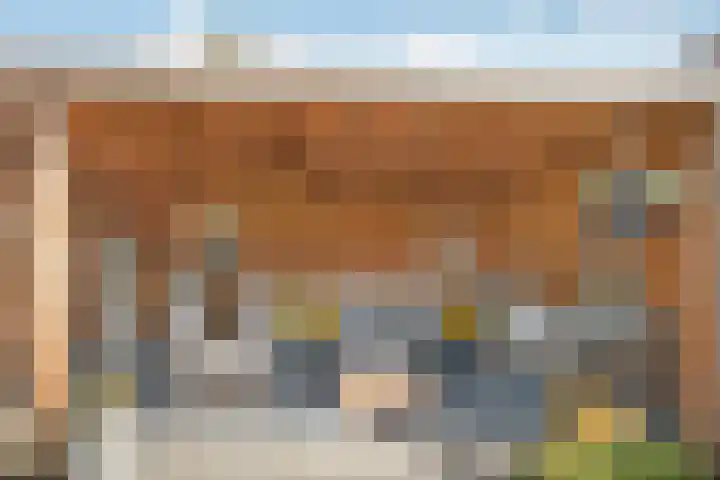 Koezenkamp 32 Dalfsen thumbnail 39