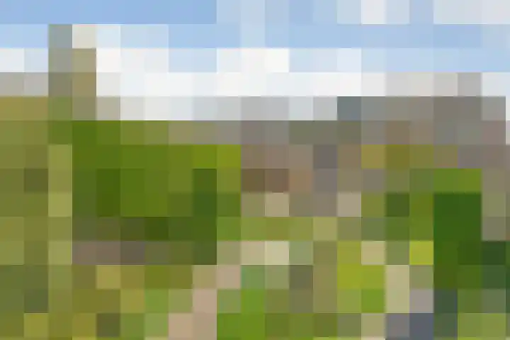 Koezenkamp 32 Dalfsen thumbnail 4
