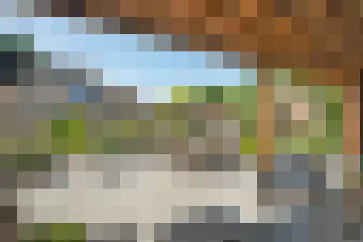 Koezenkamp 32 Dalfsen thumbnail 40