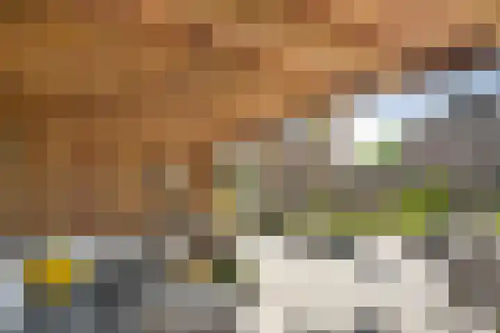 Koezenkamp 32 Dalfsen thumbnail 41